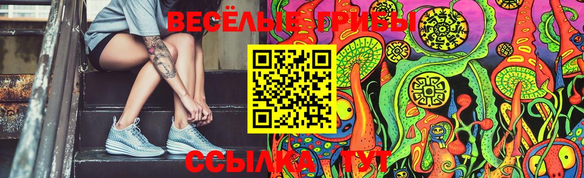 Мурино  Псилоцибиновые грибы GOLDEN TEACHER  Вход с VPN 